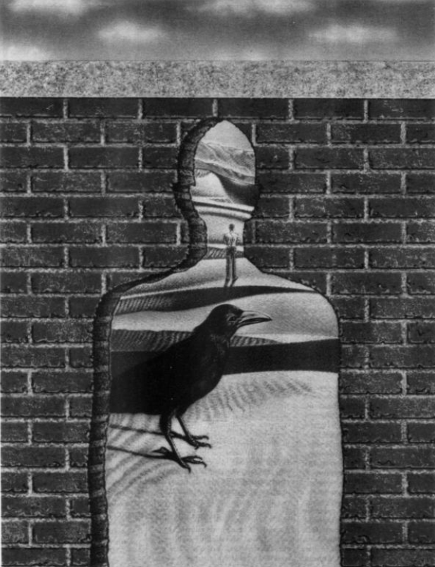 Illustration Done for the Article