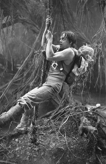 Luke Skywalker Training with Yoda