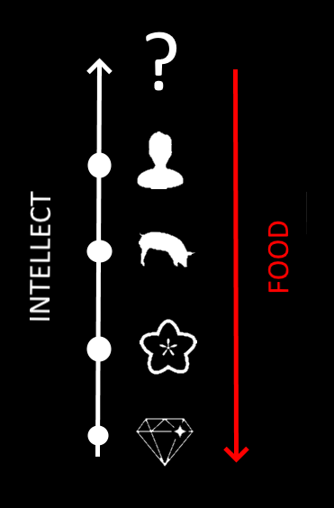 Image to think about...