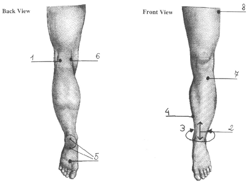left leg areas of mystery