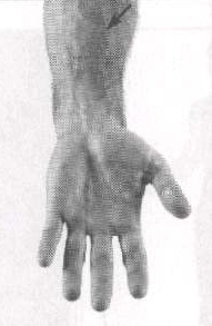 point # 3 on diagram