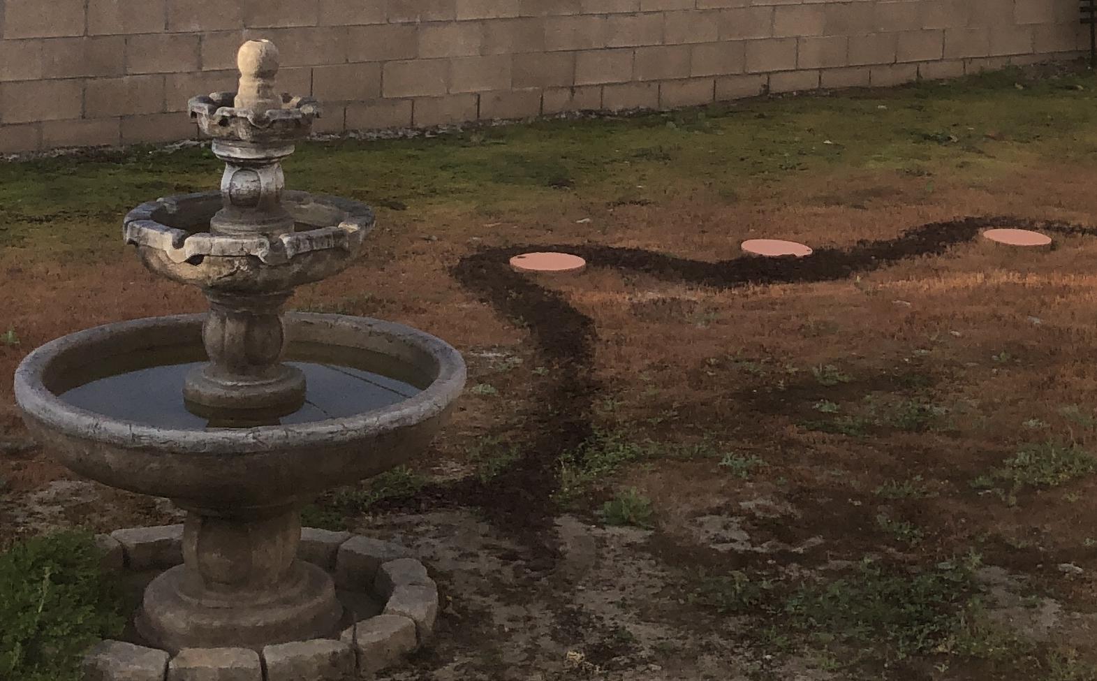 The Ending of Cholita's Latest Spell