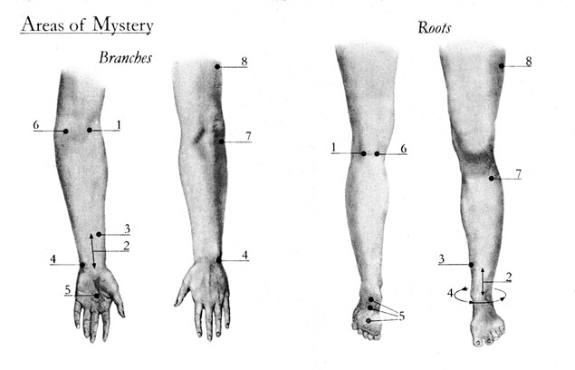Areas of Mystery (including the palm and sole of the foot)