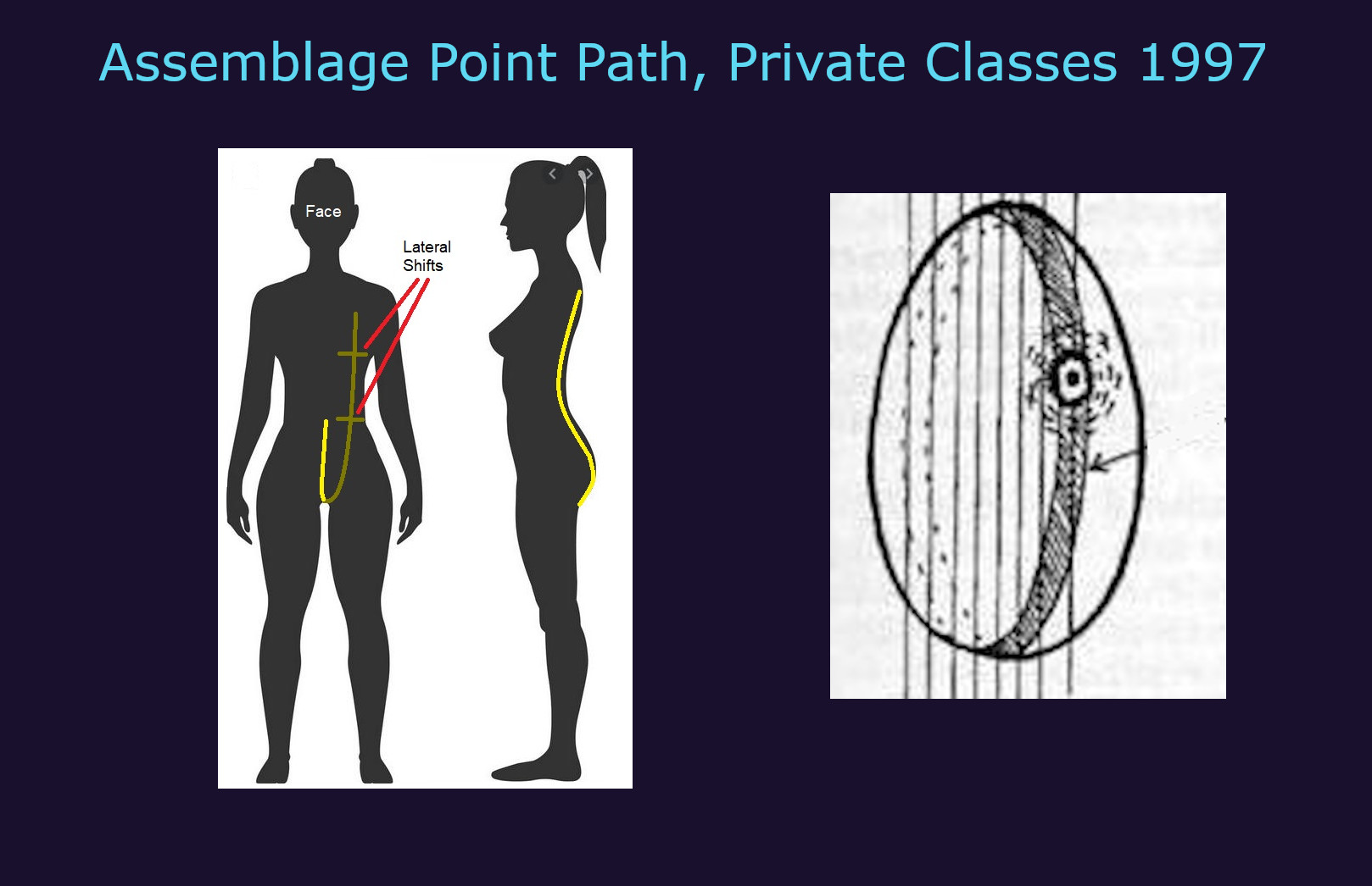The path the assemblage point ideally moves