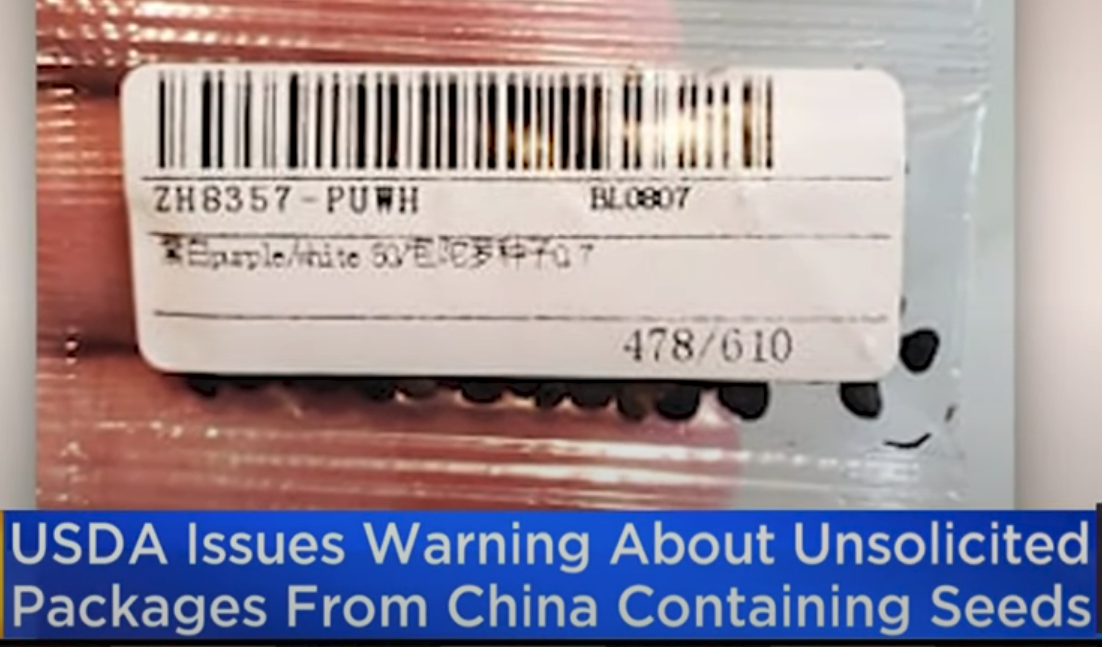 The \"mysterious\" seeds China is mailing out