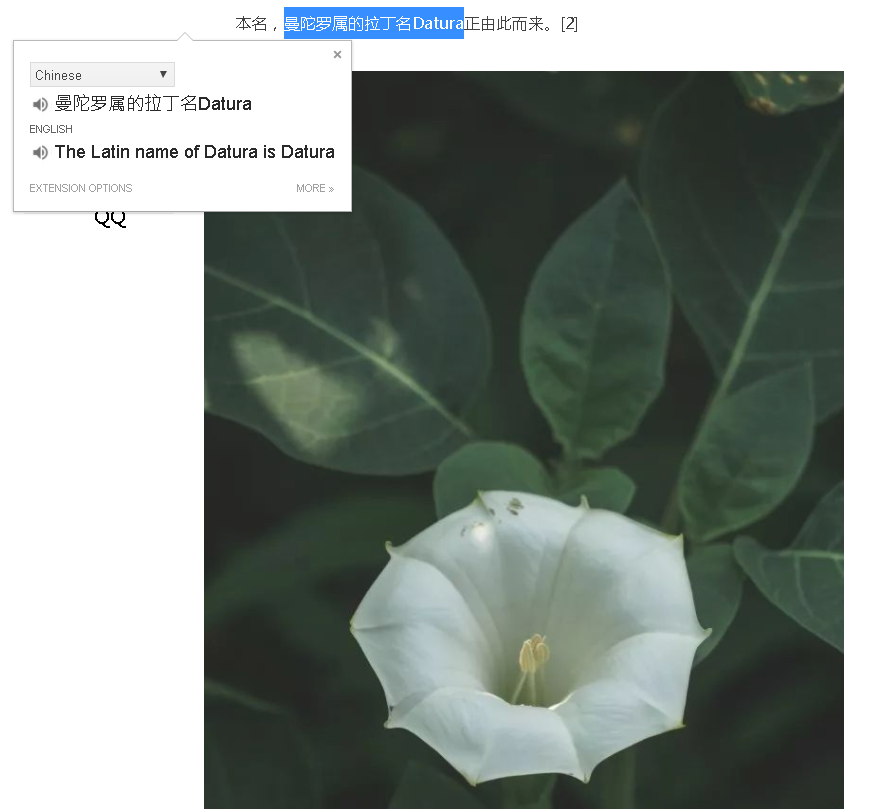 A cultivar of the same plant as at Morongo, which Carlos used. But not the same one.