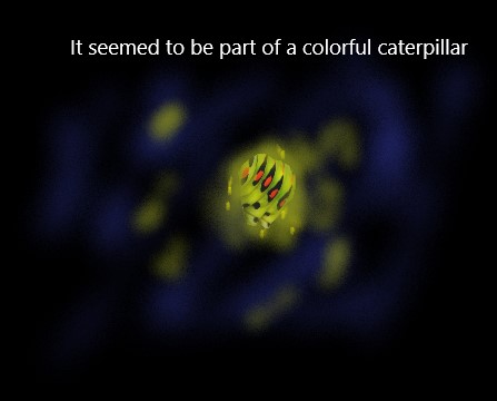 A caterpillar I saw yesterday