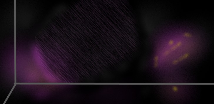 Trying to see \"The wall\"