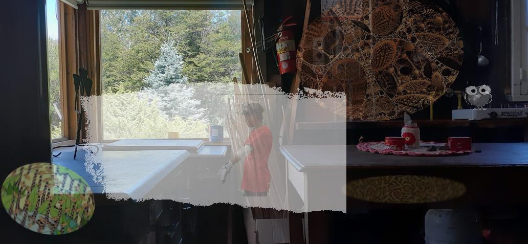 Daylight dreaming in my house