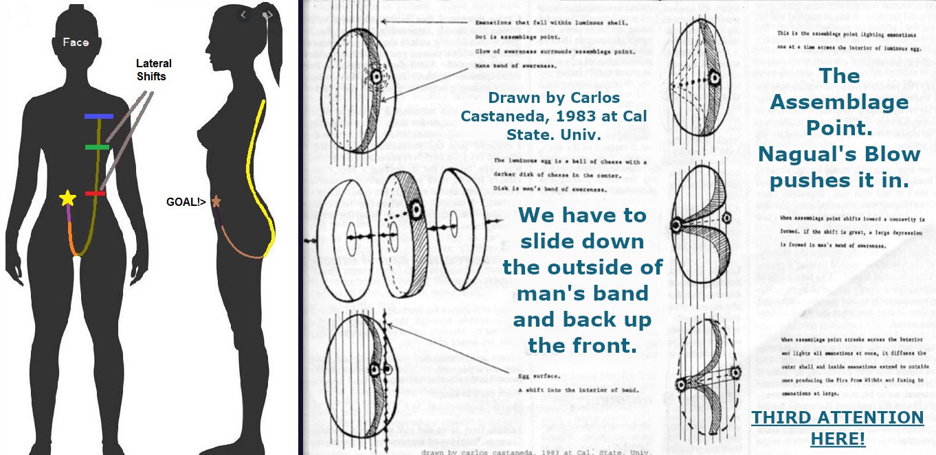 New J curve including Carlos diagrams