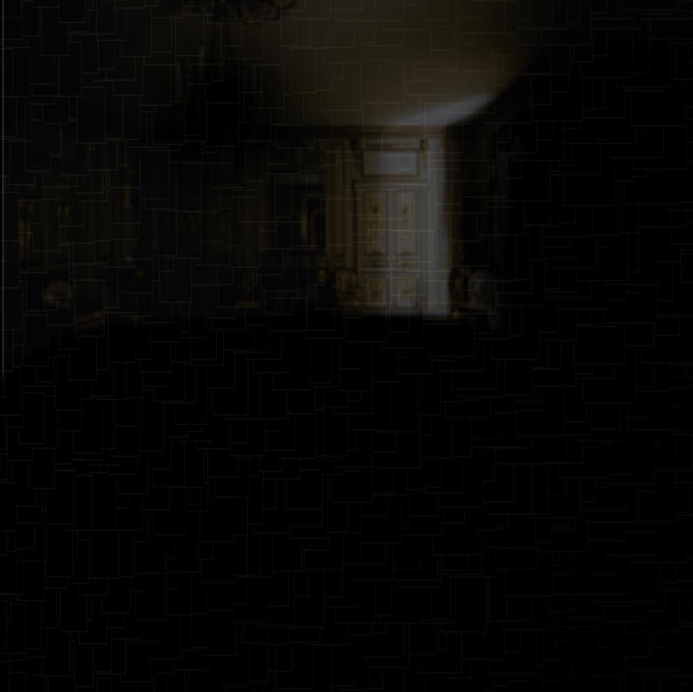 Seeing the pitch dark room!