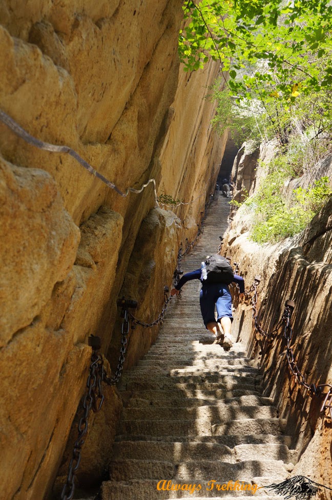 The Long-Established & Carved Path