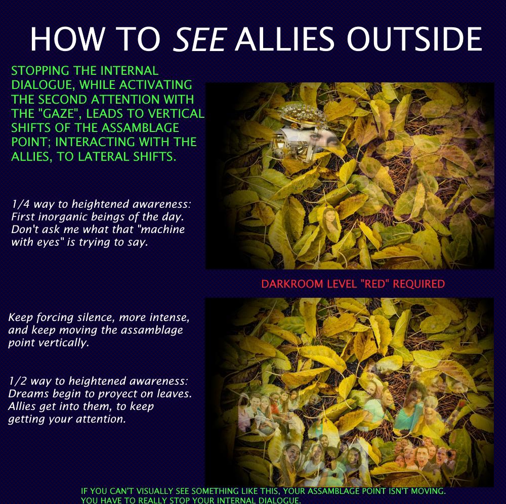 How to see allies outside