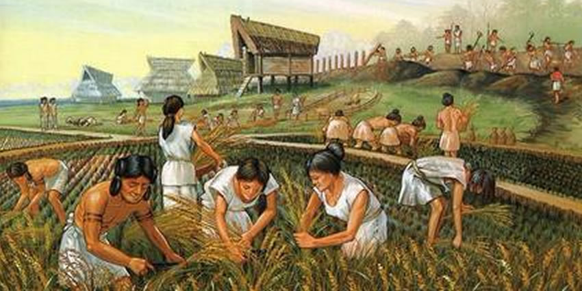 The Olmec wore Cotton, Buffalo skin, and Rubber.