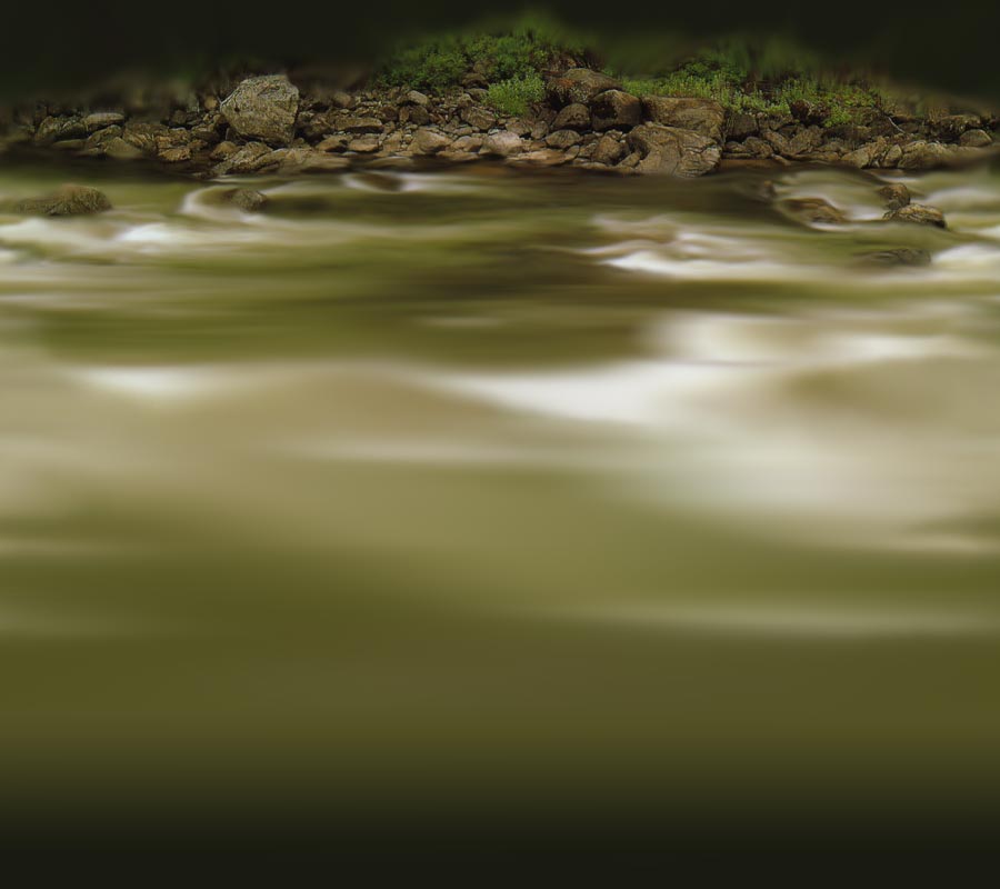 View of the Shore From The River of Filth
