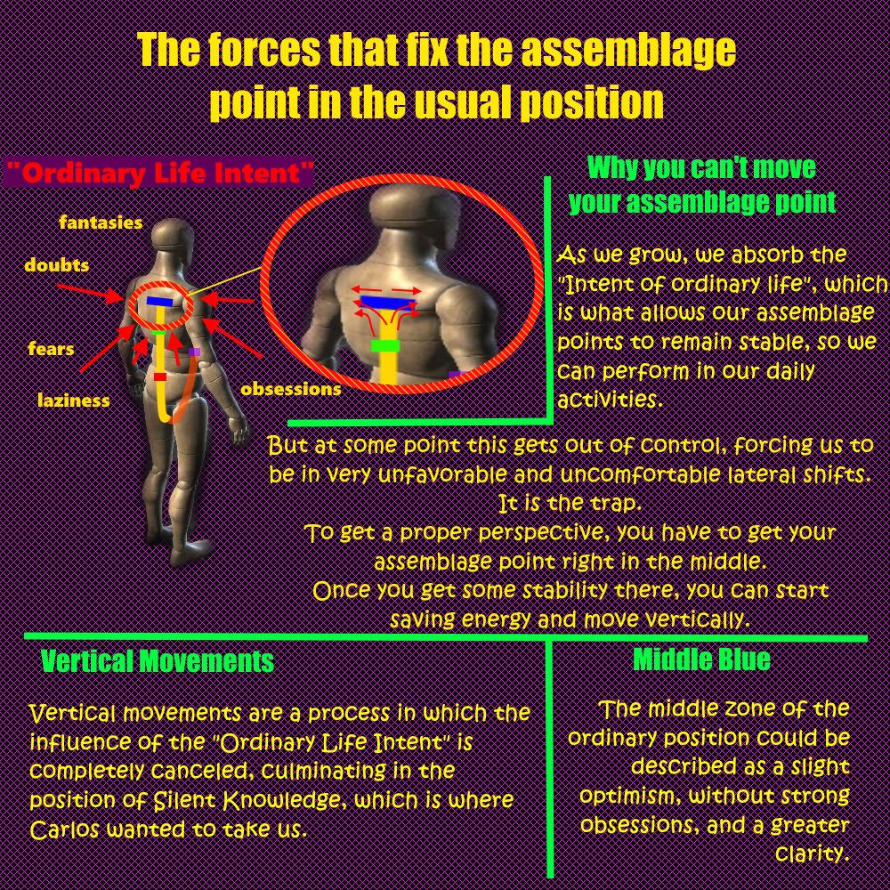 The Forces that Fix the Assemblage Point