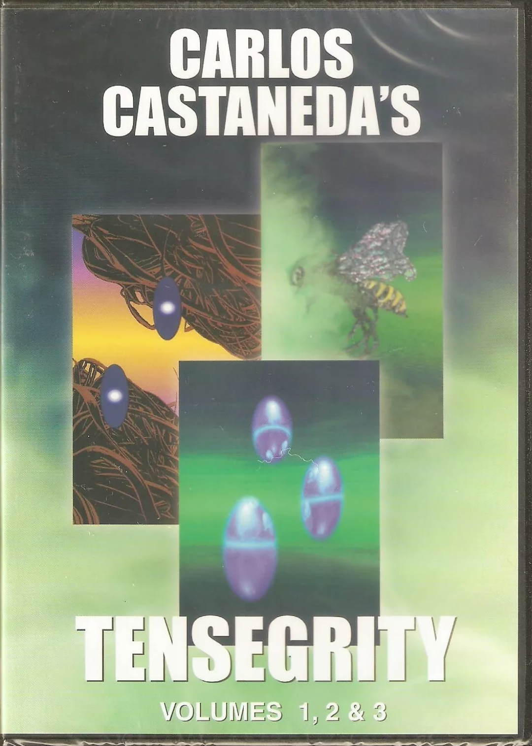 Here's an image of the DVD box set that they put out