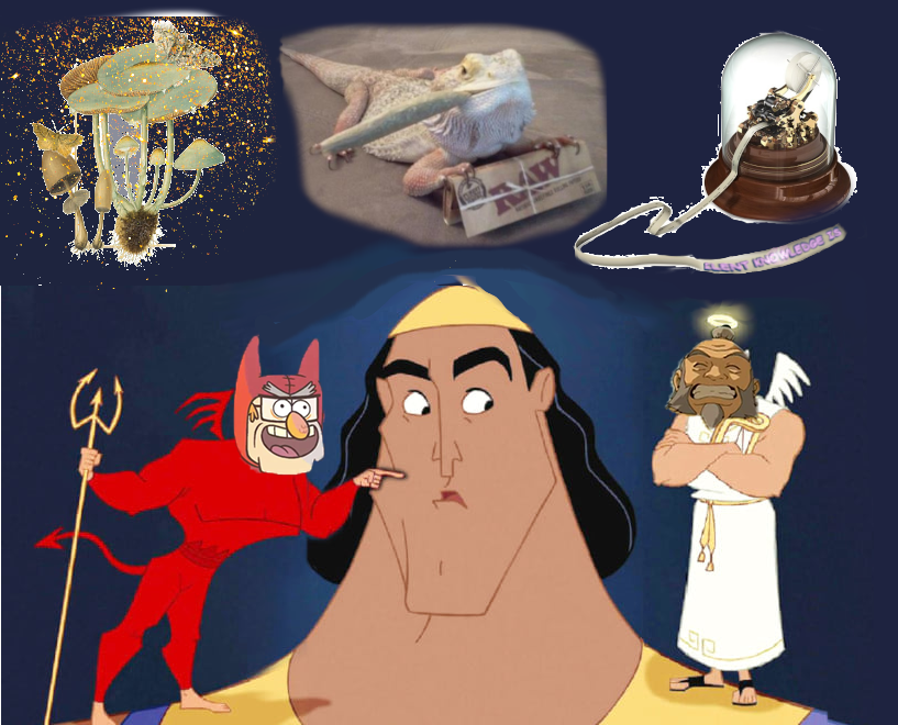 The Moth dust mushrooms, the lizards, reading text: All Silent Knowledge.