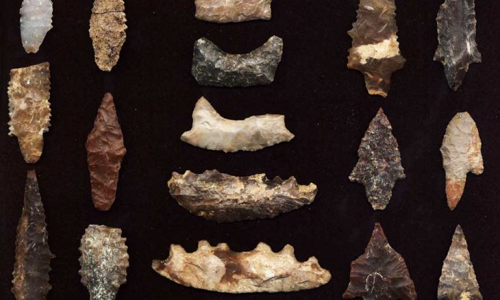 More 10,000 old + artifacts from our own area