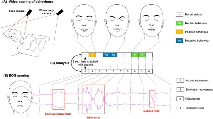 increased side-to-side REM eye movements correspond to \"negative\" dreaming imagery