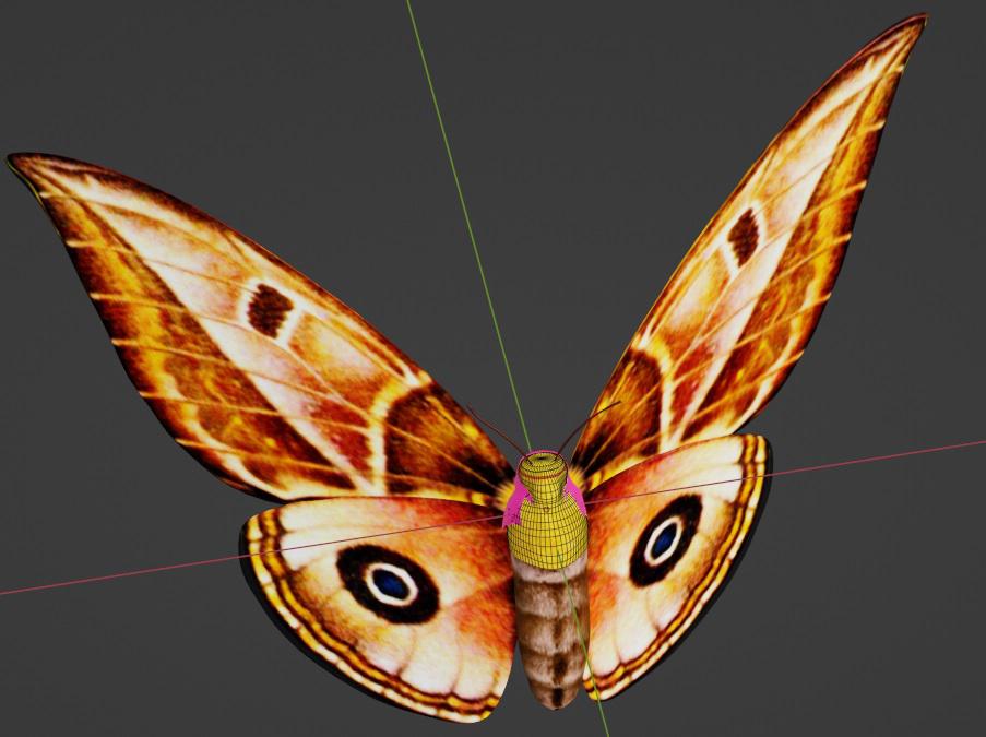 Perfect fit over her body, with many nice \"triangles\" to delete in 2s. No \"bent\" ones.